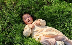 超帅小鲜肉套小蓝GAY